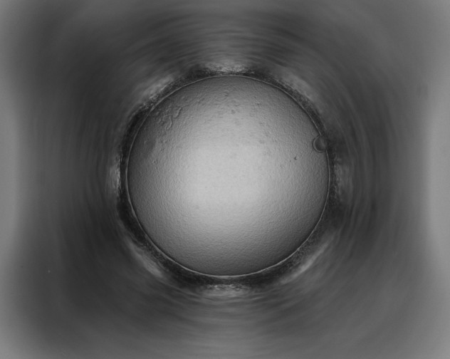 X0000088160541200705221603