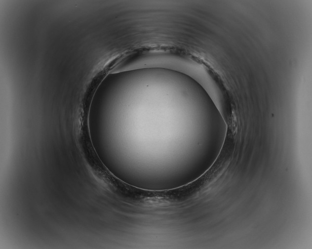 X0000088160544200705221603