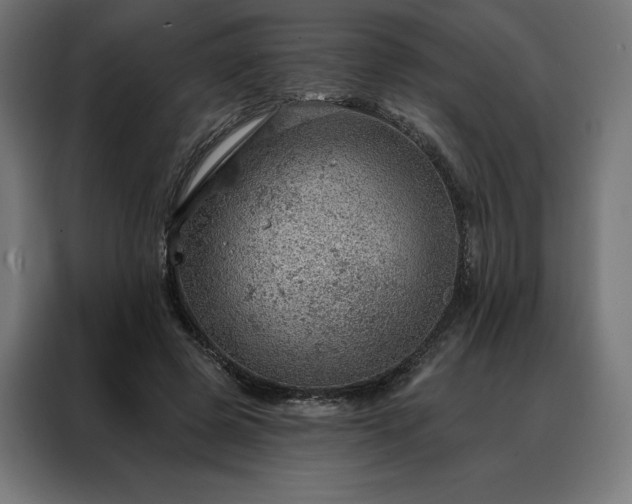 X0000088160545200705221603
