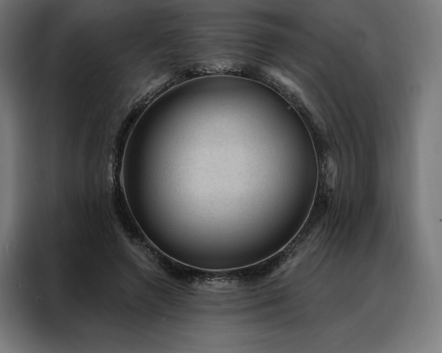 X0000088160546200705221603