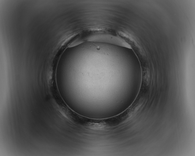 X0000088160548200705221603