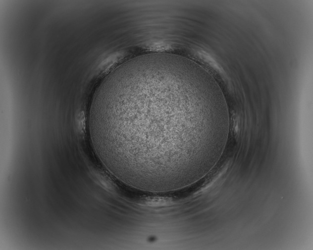 X0000088160549200705221603