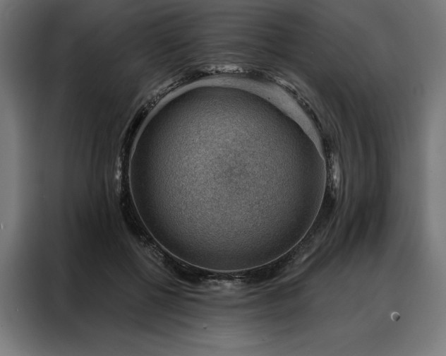 X0000088160552200705221603