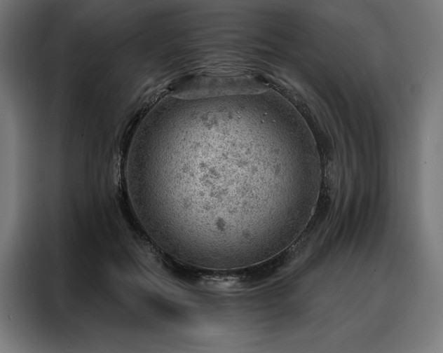 X0000088160554200705221603