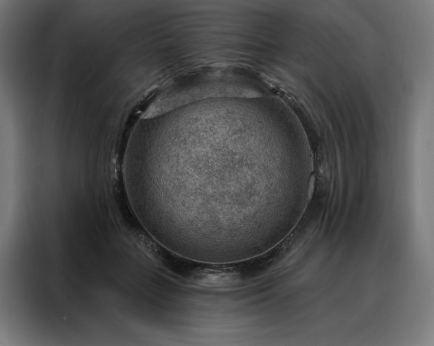 X0000088160555200705221603