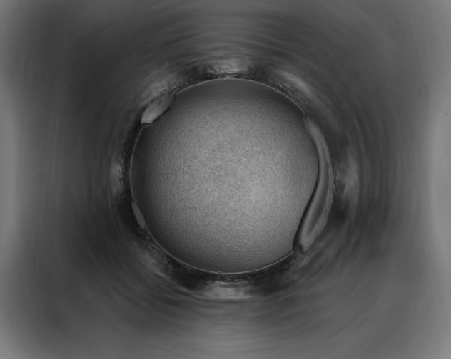 X0000088160556200705221603