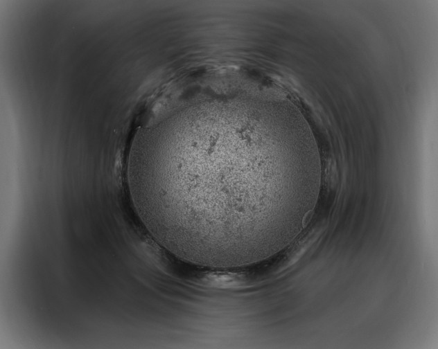 X0000088160557200705221603
