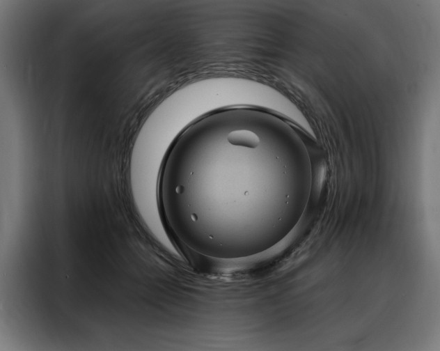 X0000088160558200705221603