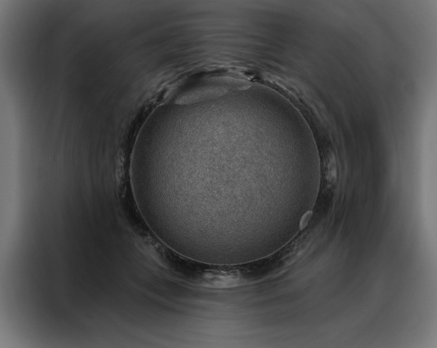 X0000088160559200705221603