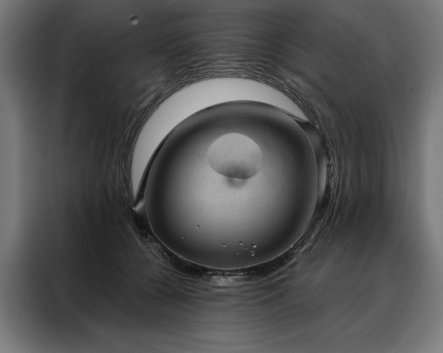 X0000088160560200705221603