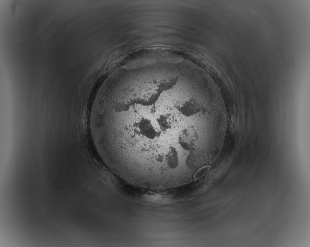 X0000088160561200705221603