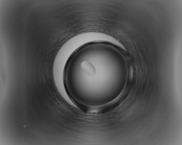 X0000088160562200705221603