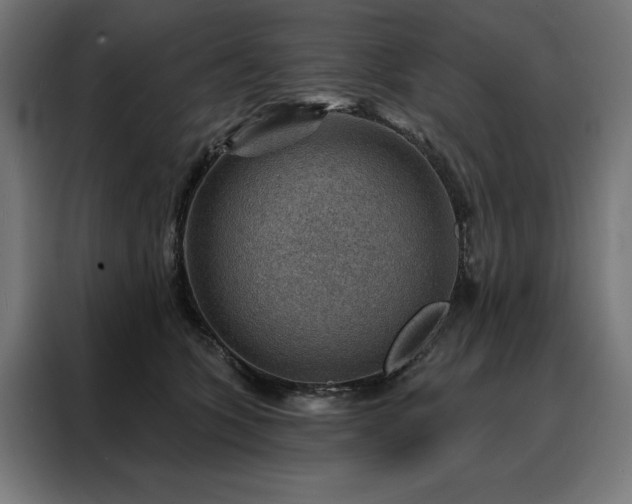 X0000088160563200705221603