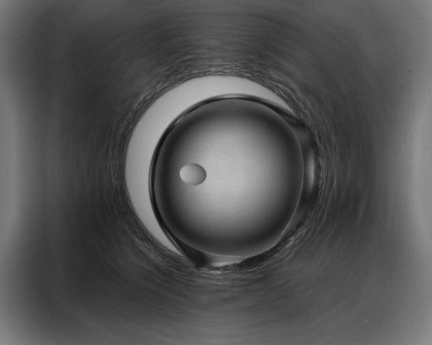 X0000088160564200705221603