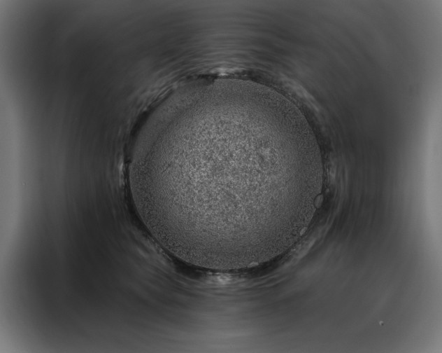X0000088160565200705221603