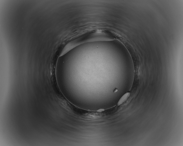 X0000088160567200705221603