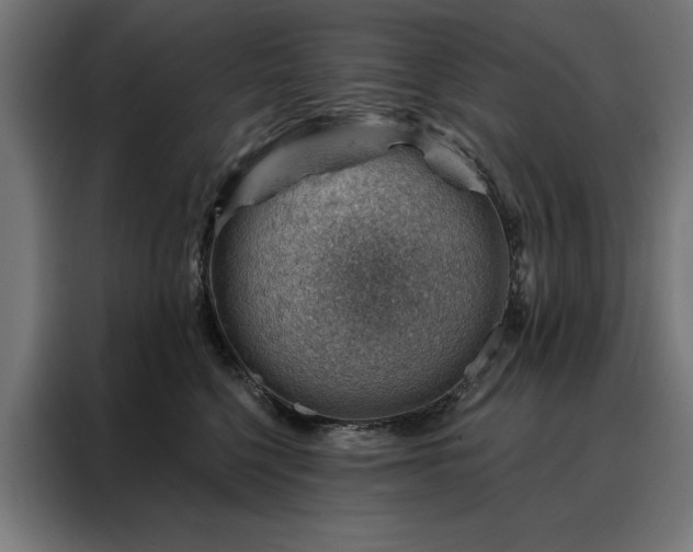 X0000088160568200705221603