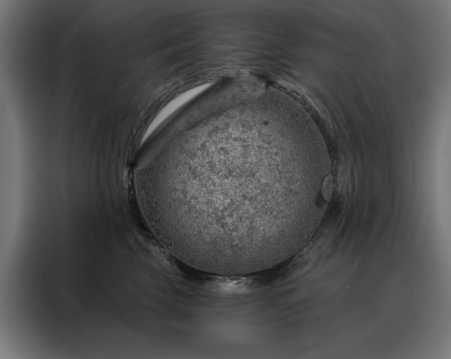 X0000088160569200705221603