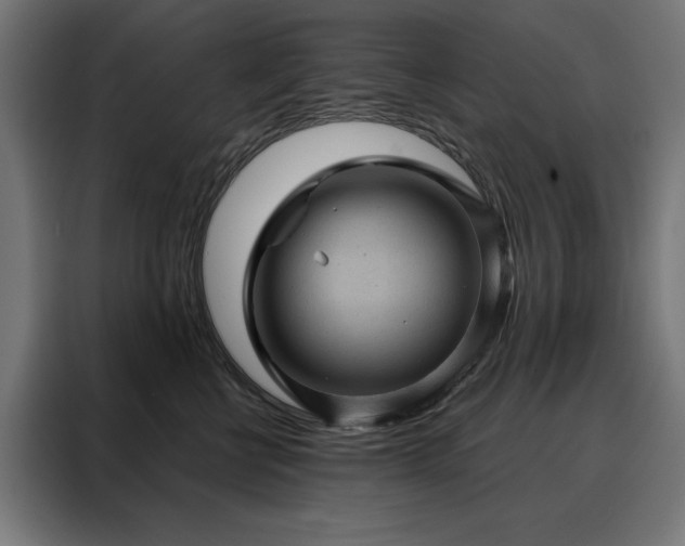 X0000088160570200705221603