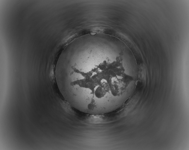 X0000088160573200705221603