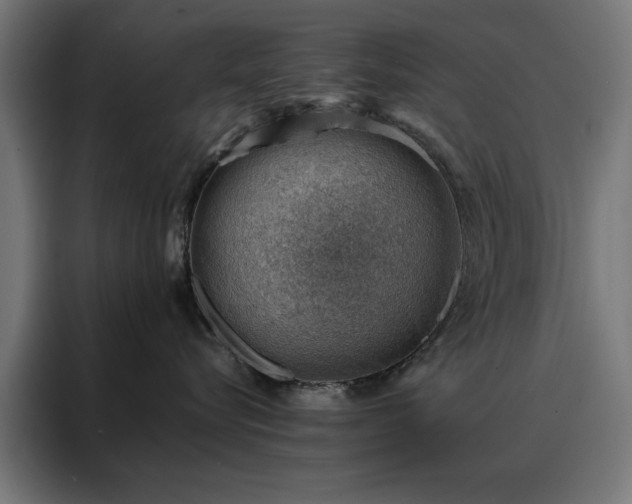 X0000088160576200705221603