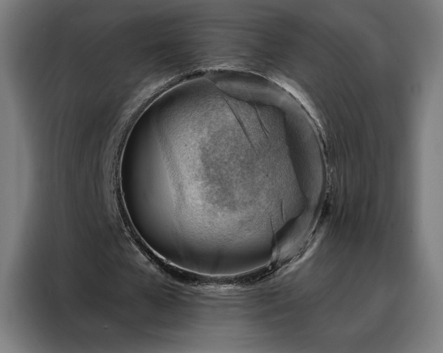 X0000088160577200705221603