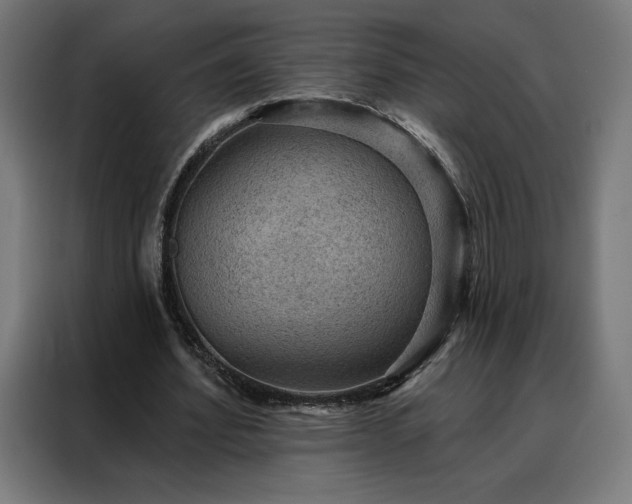 X0000088160580200705221603