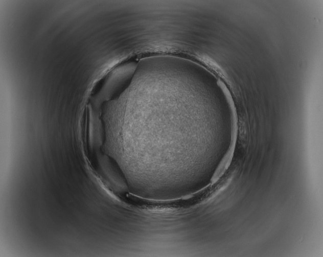 X0000088160581200705221603