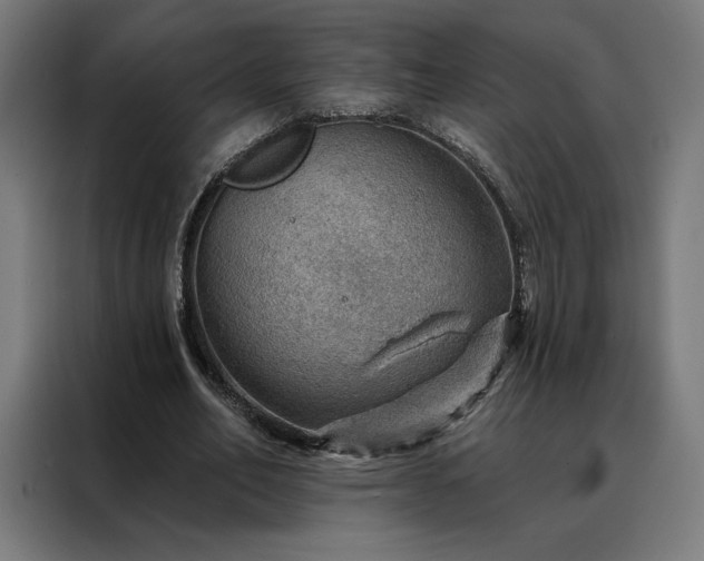 X0000088160582200705221603