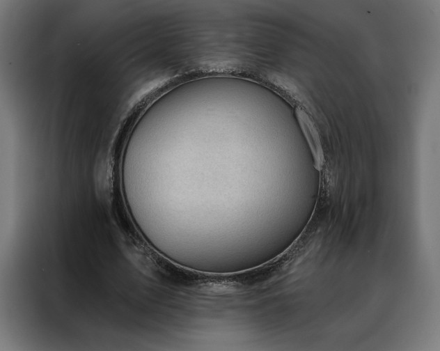 X0000088160583200705221602