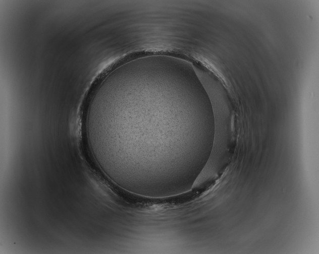 X0000088160584200705221602