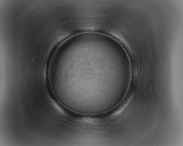X0000088160585200705221602