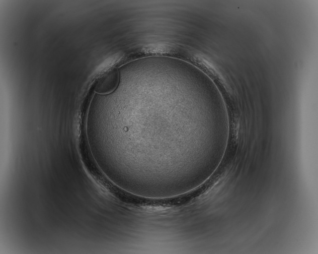 X0000088160586200705221602