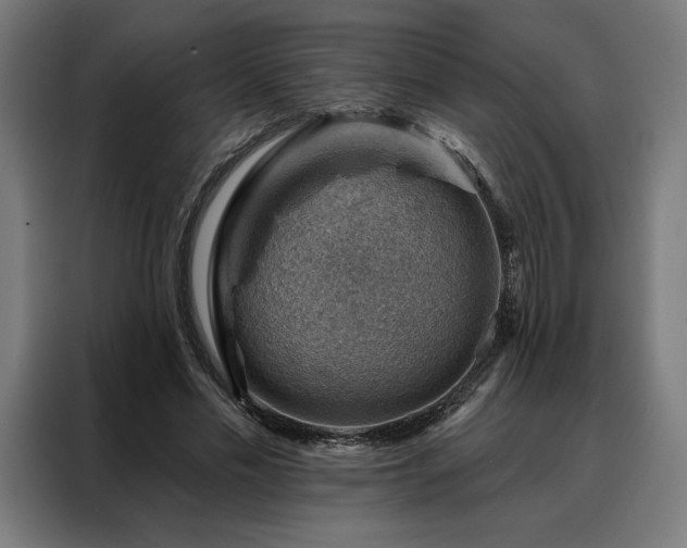 X0000088160589200705221602