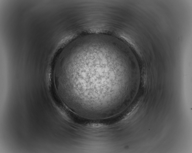 X0000088160590200705221602