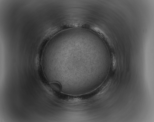 X0000088160594200705221602