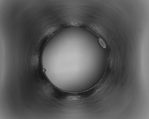 X0000088160595200705221602