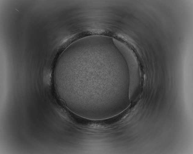 X0000088160596200705221602