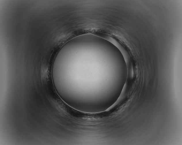 X0000088160597200705221602