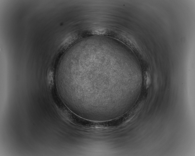 X0000088160598200705221602