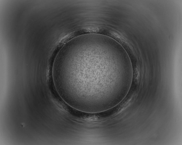 X0000088160600200705221602