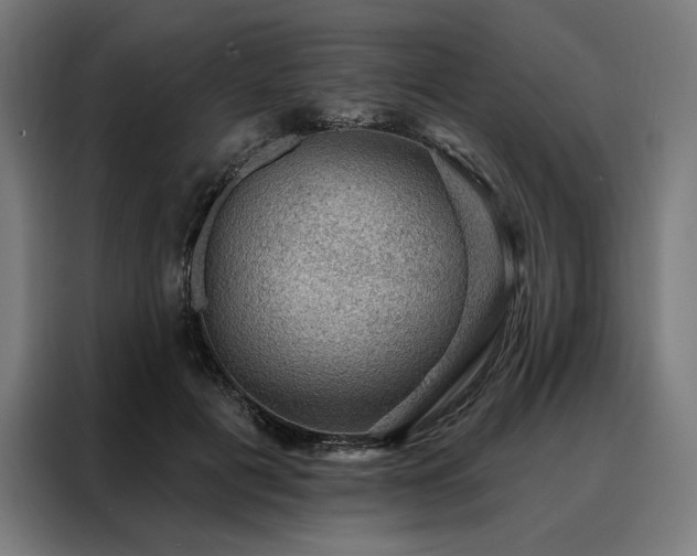 X0000088160601200705221602