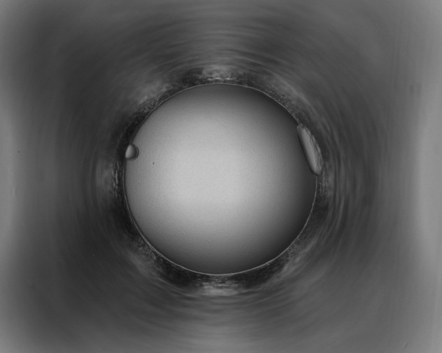 X0000088160603200705221602