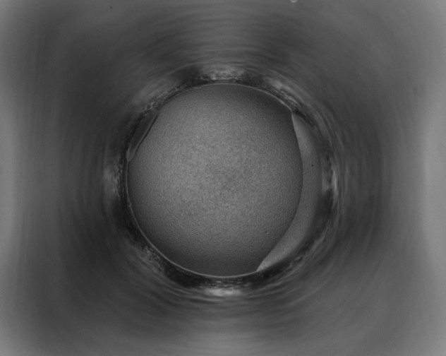 X0000088160604200705221602