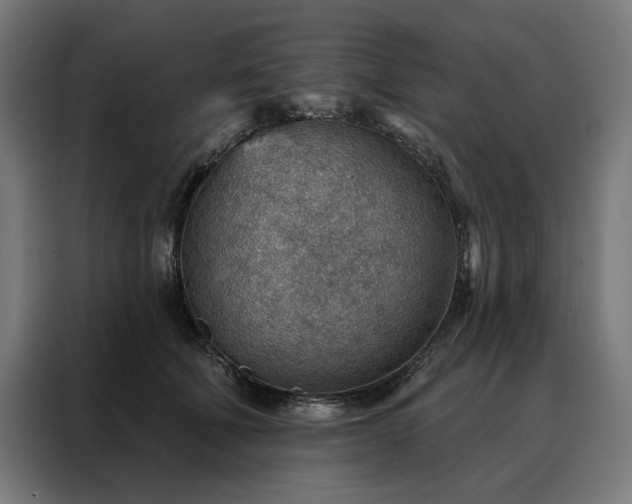 X0000088160610200705221602