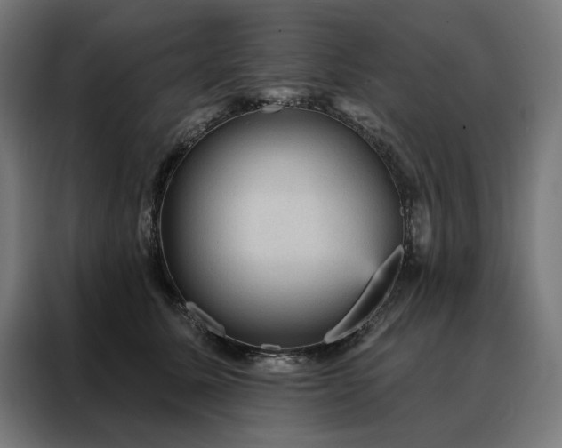 X0000088160611200705221602