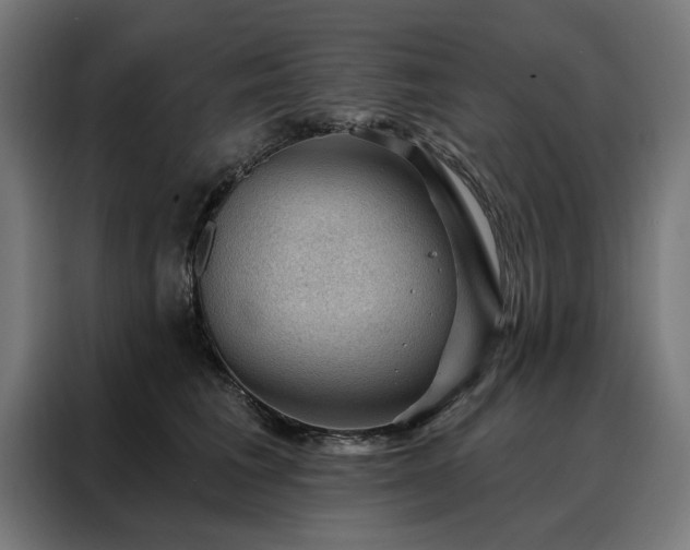 X0000088160613200705221602