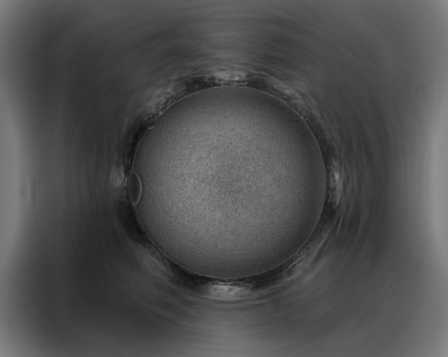 X0000088160614200705221602