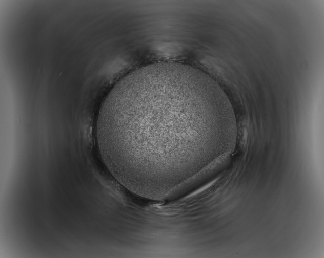 X0000088160615200705221602