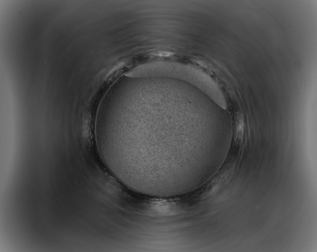 X0000088160616200705221602